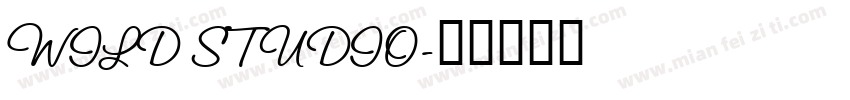 WILD STUDIO字体转换